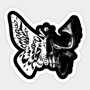 Skull Goth Moth Butterfly Gothic Unique Art Sticker